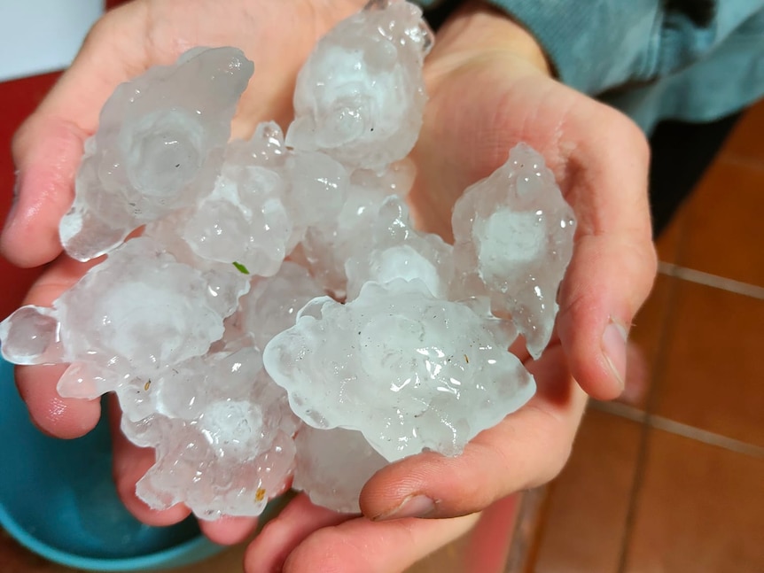 Large pieces of hail being held in an adult's hands