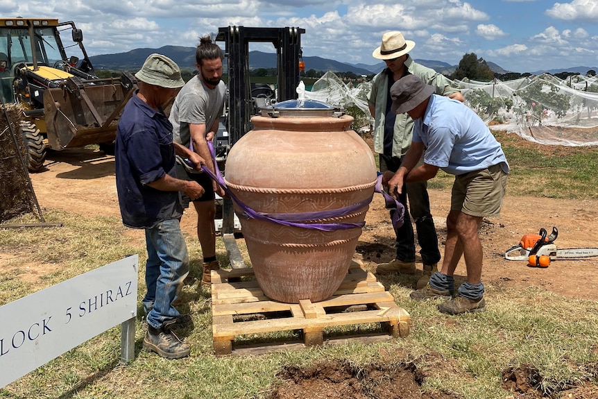 Four men lift a large clay pot to place into the ground for winemaking