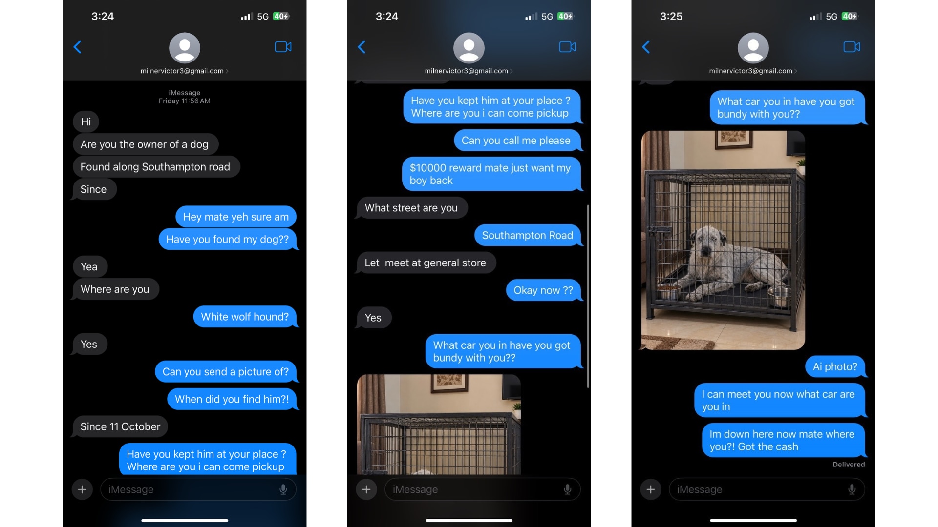 A text message exchange between a man and a scammer about a missing dog.