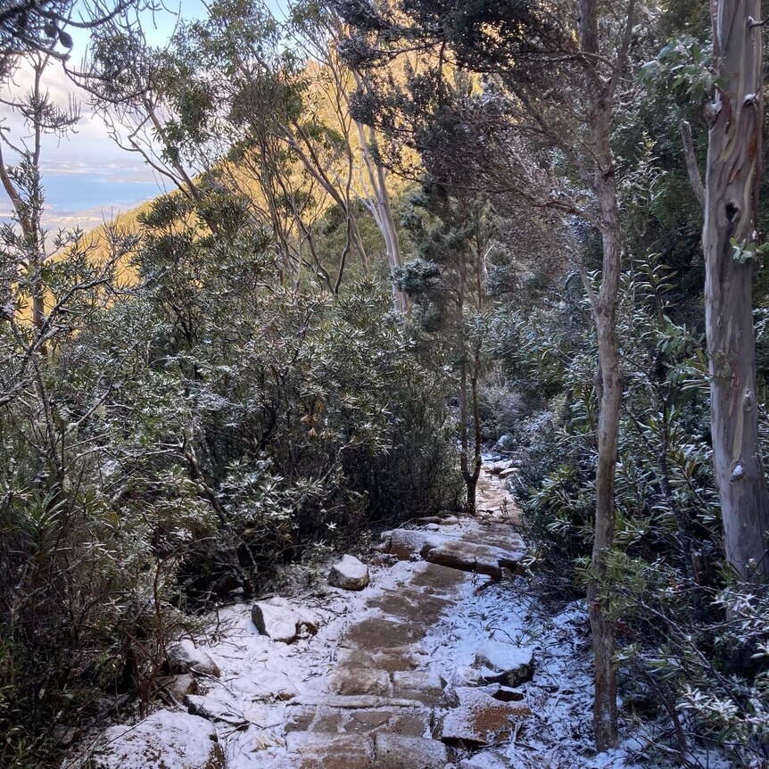 A hiking trail on Mt Wellington with snow on the ground and the ocean in the distance