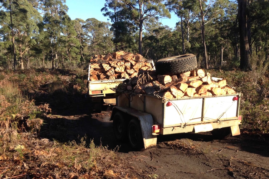 Alleged illegal firewood cutters leaving a swift parrot habitat July 2016