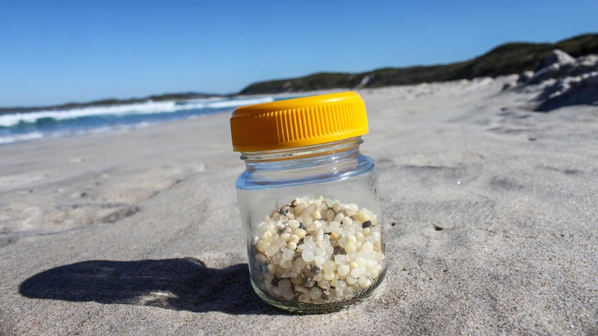 A vegemite jar of while plastic pellets sitting on the shore of a beach.