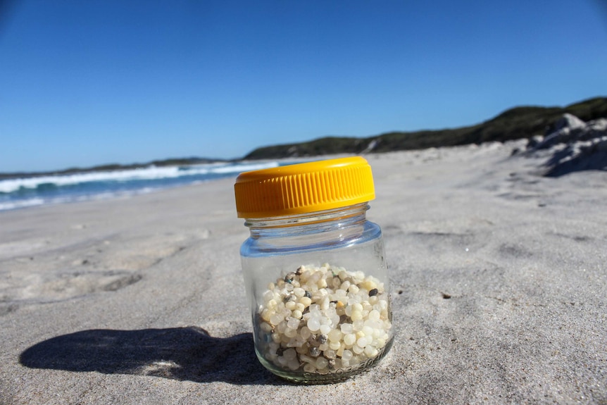 A vegemite jar of while plastic pellets sitting on the shore of a beach.