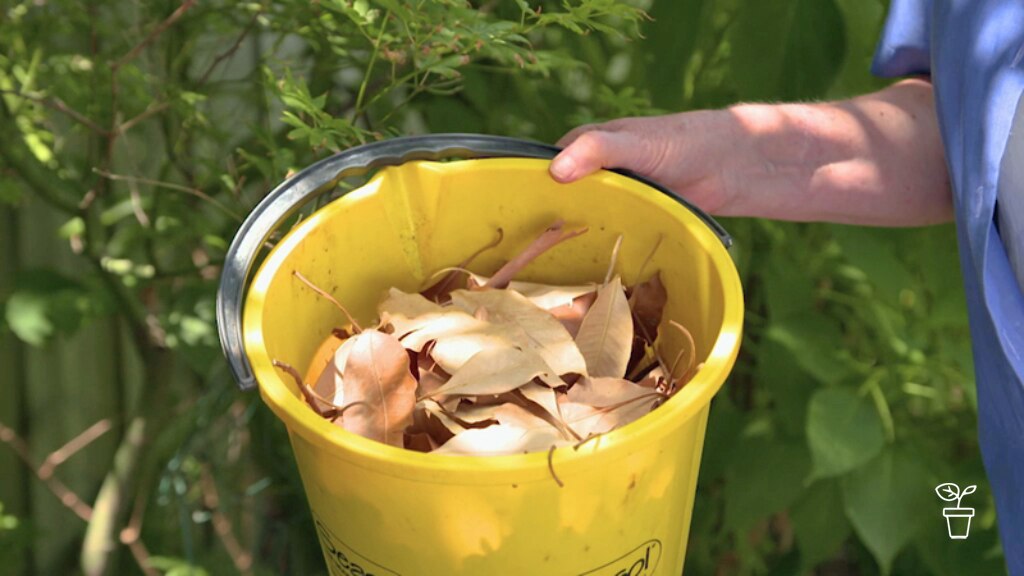 faqs-gardening-australia