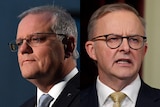 Composite image of Scott Morrison and Anthony Albanese.