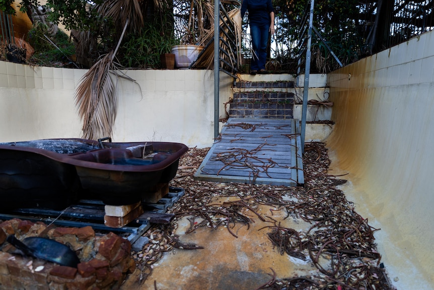 A woman stands at the top of rickety wooden stairs leading into an empty swimming pool filled with dead leaves.