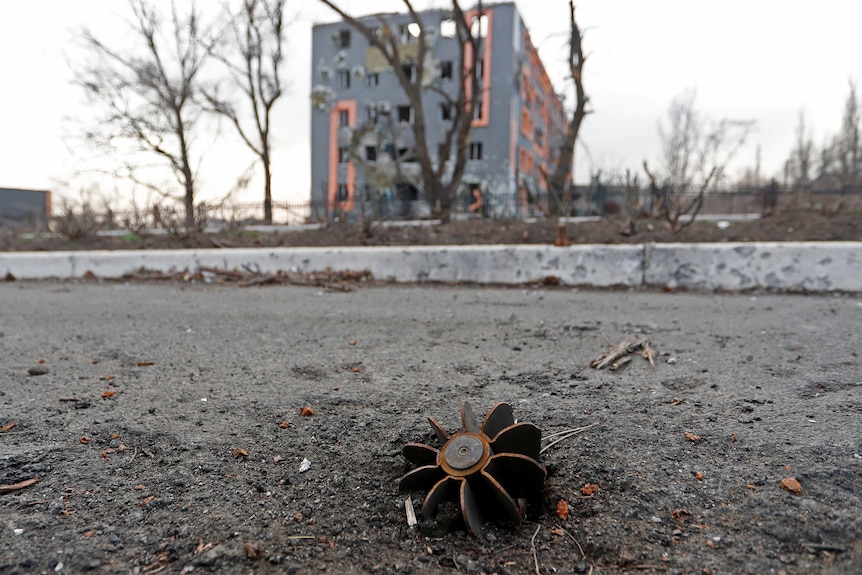 A shell fragment in the foreground with a building and bare tree branches in the background.
