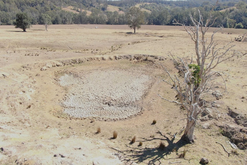 Aerial of an empty dam and dead tree in a brown, open paddock on the Clarke's property near Kempsey