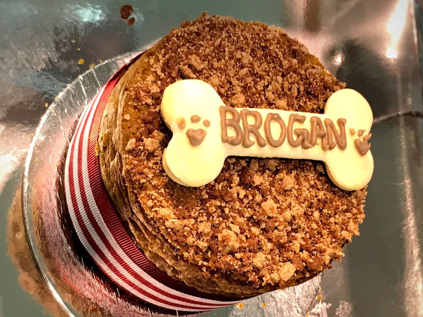 A cake with a 'Brogan' bone on top.