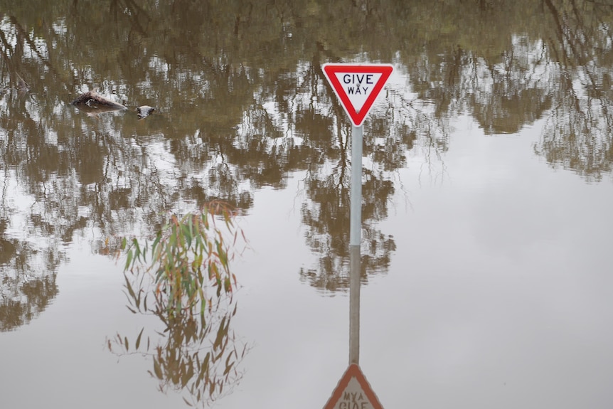 A 'give way' sign seen just above brown floodwaters.