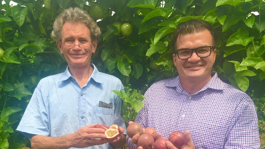 Minister for Primary Industry and Resources Ken Vowles and Senior Horticulturalist Mark Hoult launching new varieties of Passionfruit at Berrimah Farm