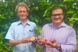 Minister for Primary Industry and Resources Ken Vowles and Senior Horticulturalist Mark Hoult launching new varieties of Passionfruit at Berrimah Farm