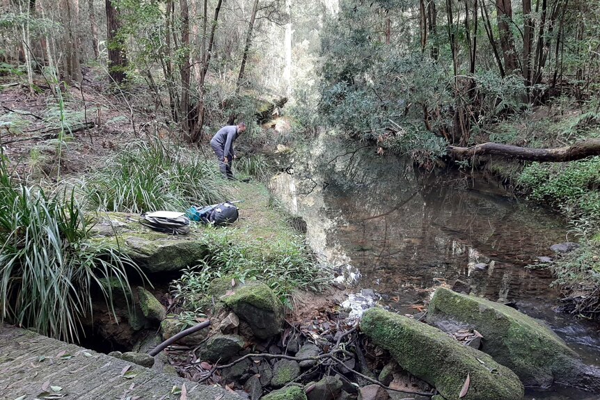 Researchers stand at a creek.