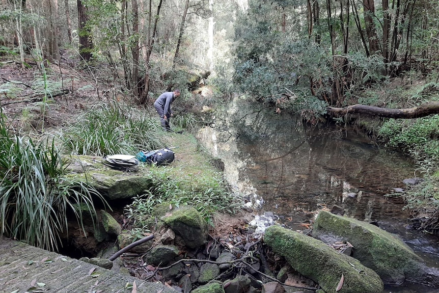 Researchers stand at a creek.