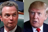 Christopher Pyne and Donald Trump.