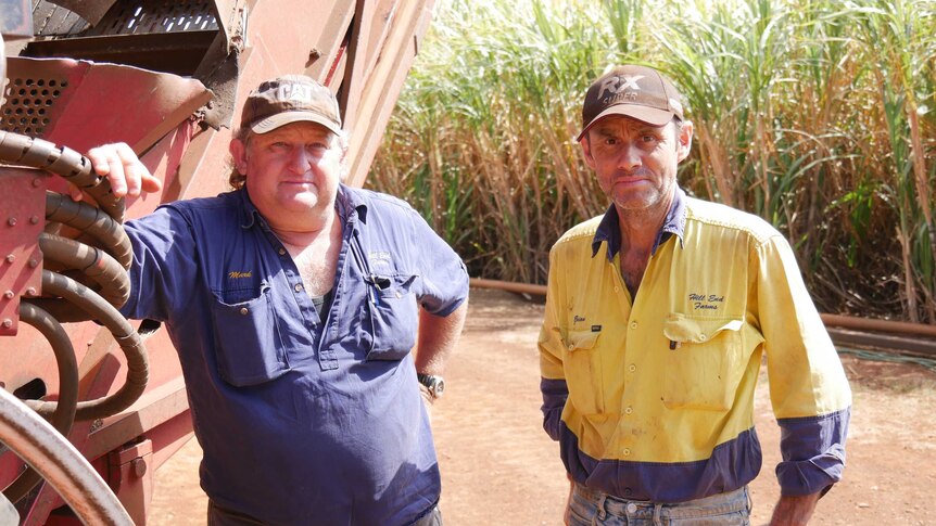 Two canefarmers standing in front of equipment in front of a sugar cane crop.
