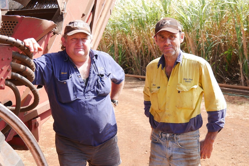 Two canefarmers standing in front of equipment in front of a sugar cane crop.