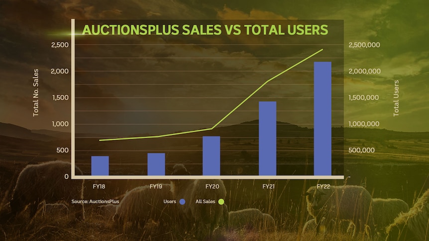 AuctionsPlus graph showing total sales and total users.