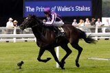So You Think wins his 10th Group One race in the Prince of Wales' Stakes at Royal Ascot.