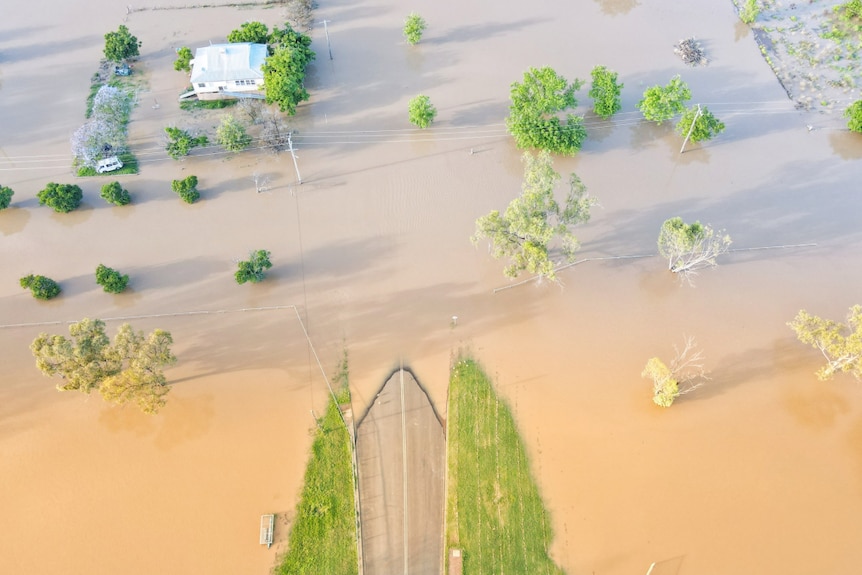 Road is engulfed by brown floodwaters