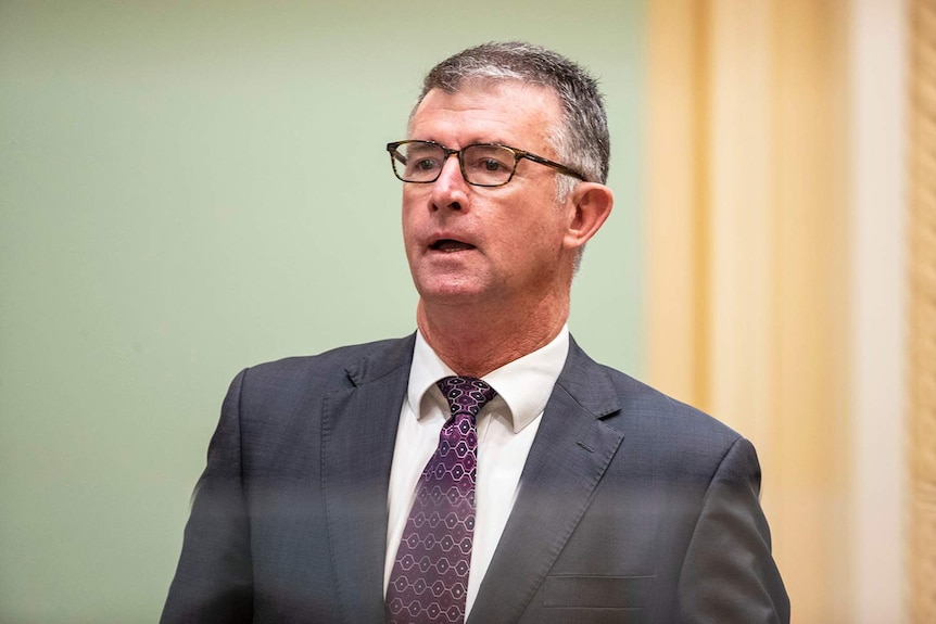 Tim Mander speaks during Question Time in Parliament in Brisbane.