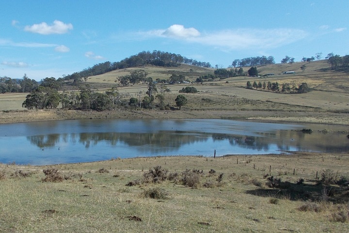 A farm dam at Copping where the level is way down