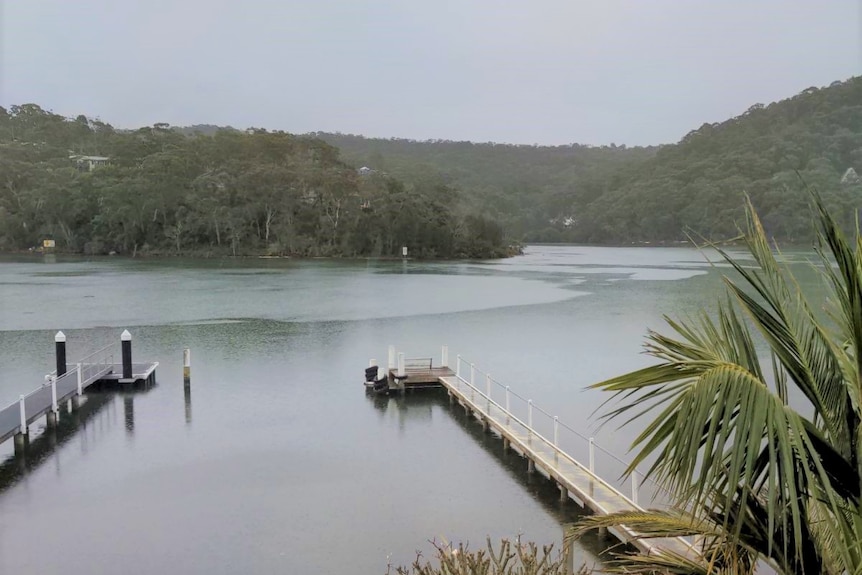 Wharfs going into a bay with trees in the background