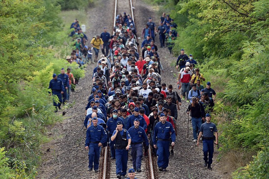 Refugees of different countries accompanied by police officers walk on the railway tracks near Szeged town