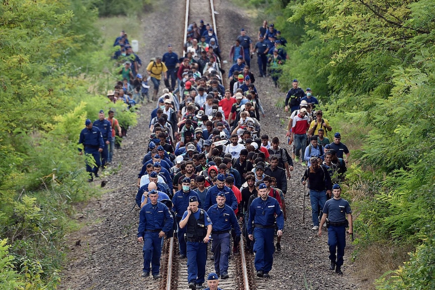 Refugees of different countries accompanied by police officers walk on the railway tracks near Szeged town