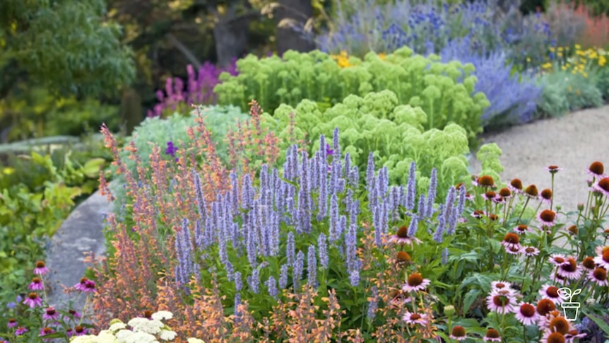 Garden bed filled with assortment of flowers