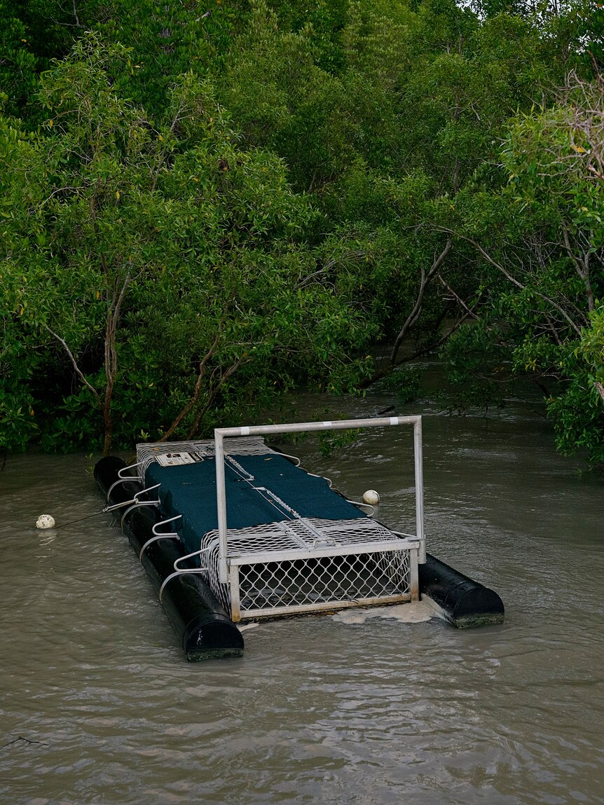 A crocodile trap sits on top of the water near mangroves in Darwin Harbour.