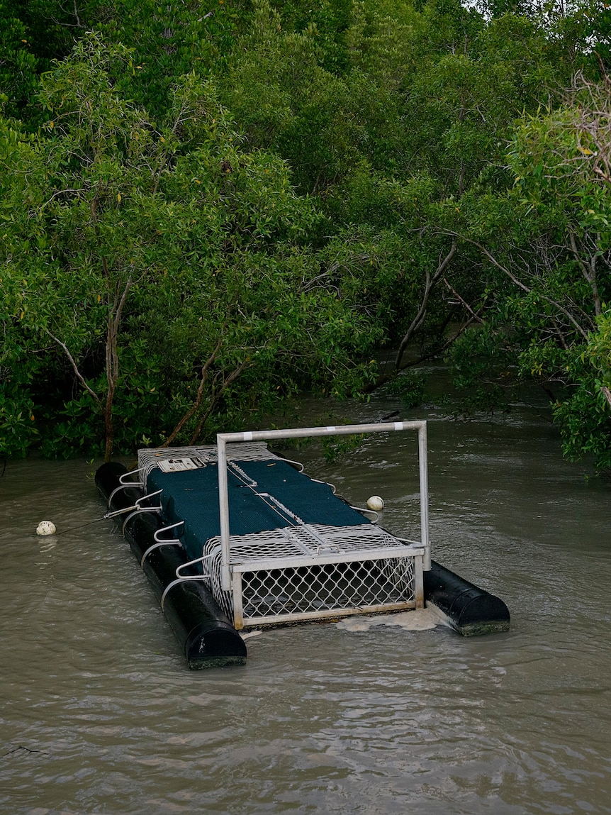 A crocodile trap sits on top of the water near mangroves in Darwin Harbour.