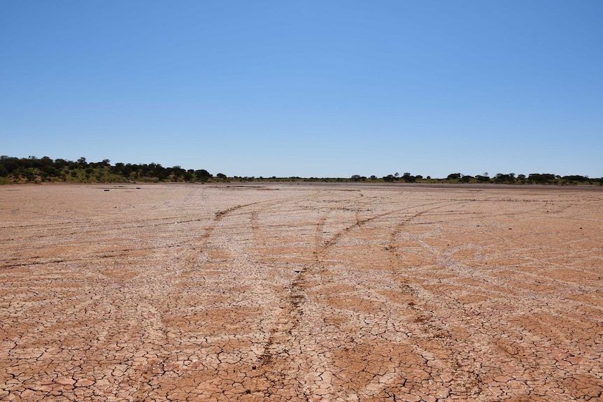 Tyre tracks are cut into a large red clay pan, the area is ringed with greenery.