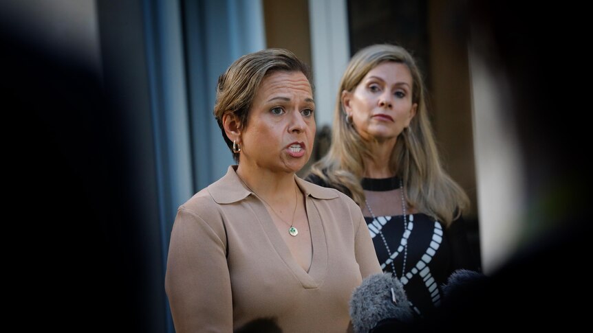 Michelle Rowland and Julie Inman Grant at a press conference inside parliament house