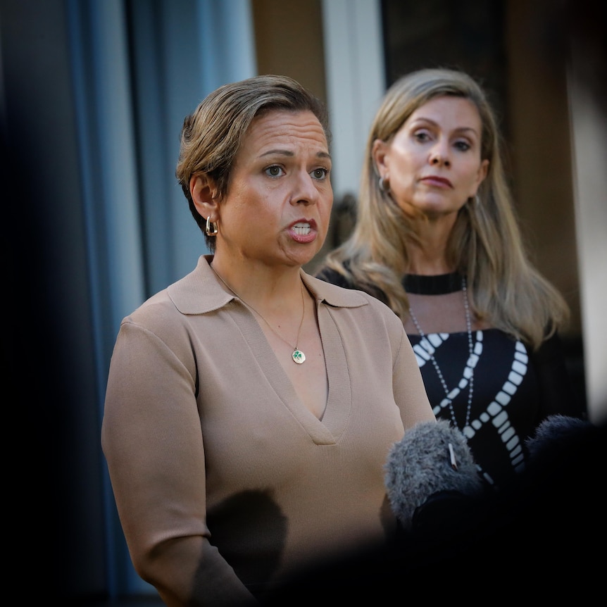 Michelle Rowland and Julie Inman Grant at a press conference inside parliament house