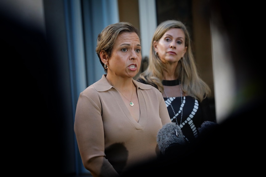 Michelle Rowland and Julie Inman Grant at a press conference inside parliament house