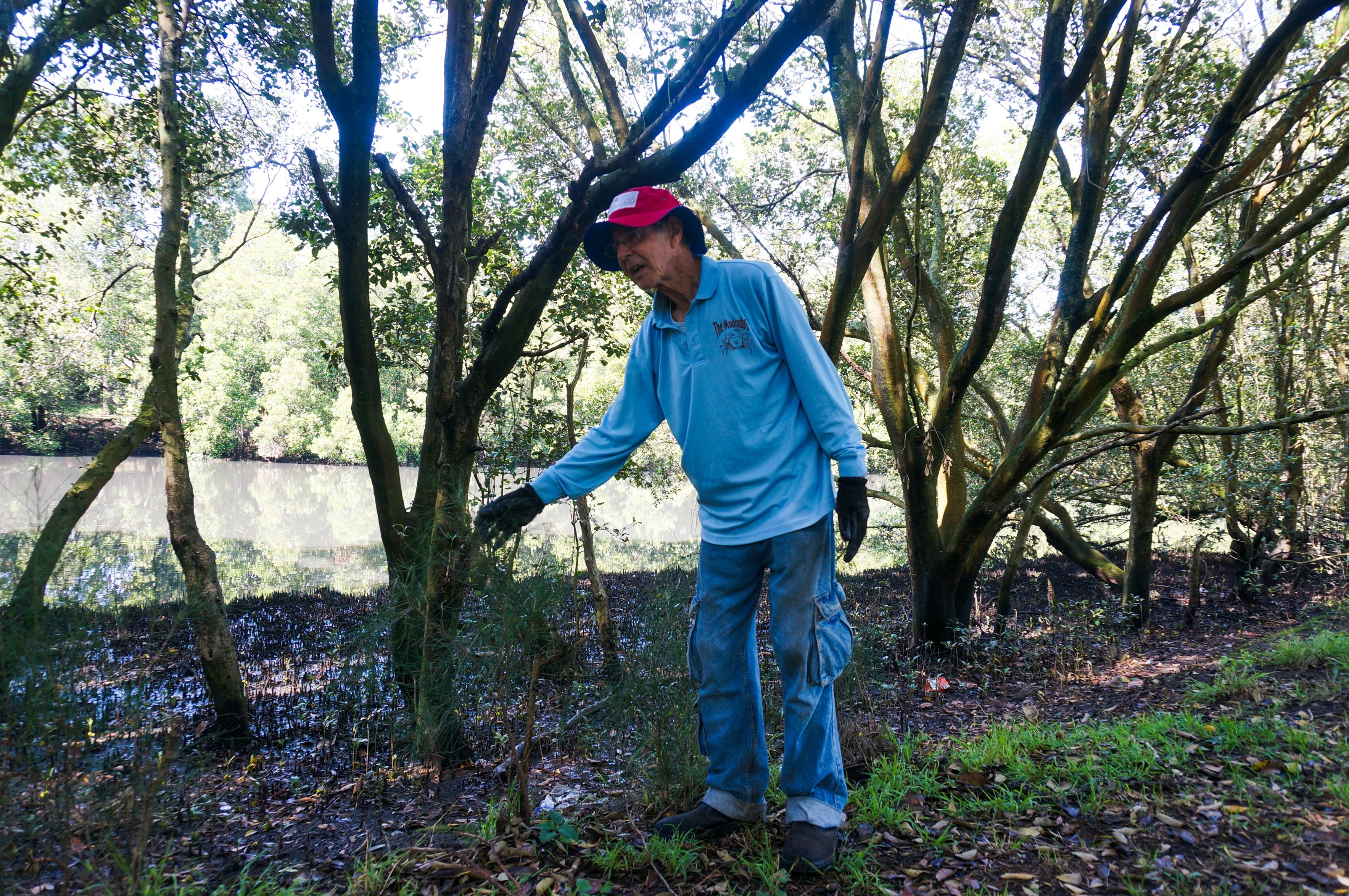 Benson toca un árbol joven a orillas del río Cooks mientras usa un sombrero rojo y una camisa azul de manga larga de Mudcrabs.