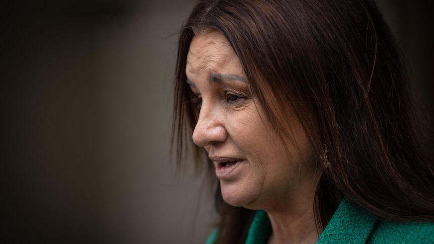 A profile shot of Jacqui Lambie speaking to reporters in Hobart.