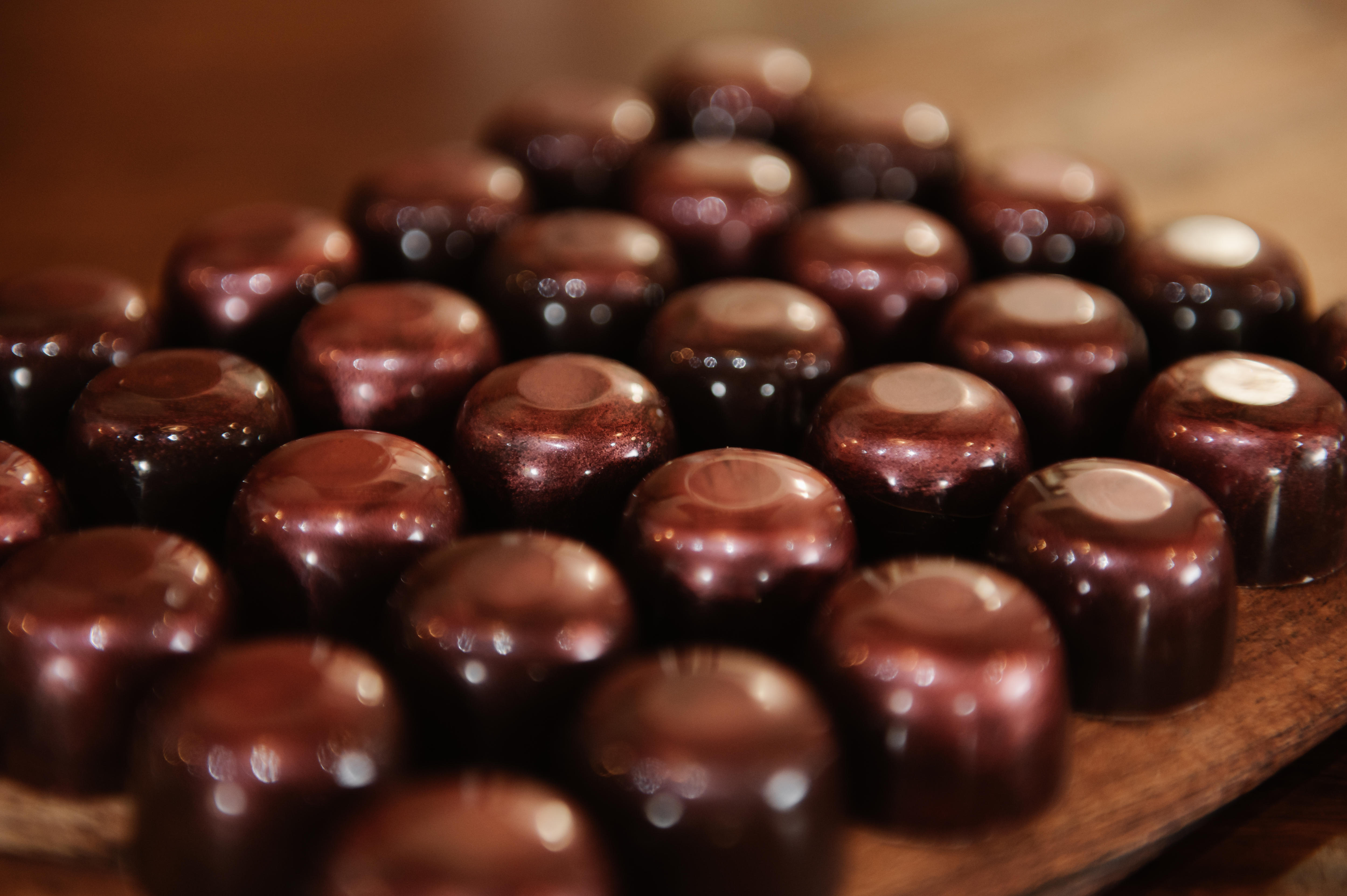 Florestas de Chocolate do Sul