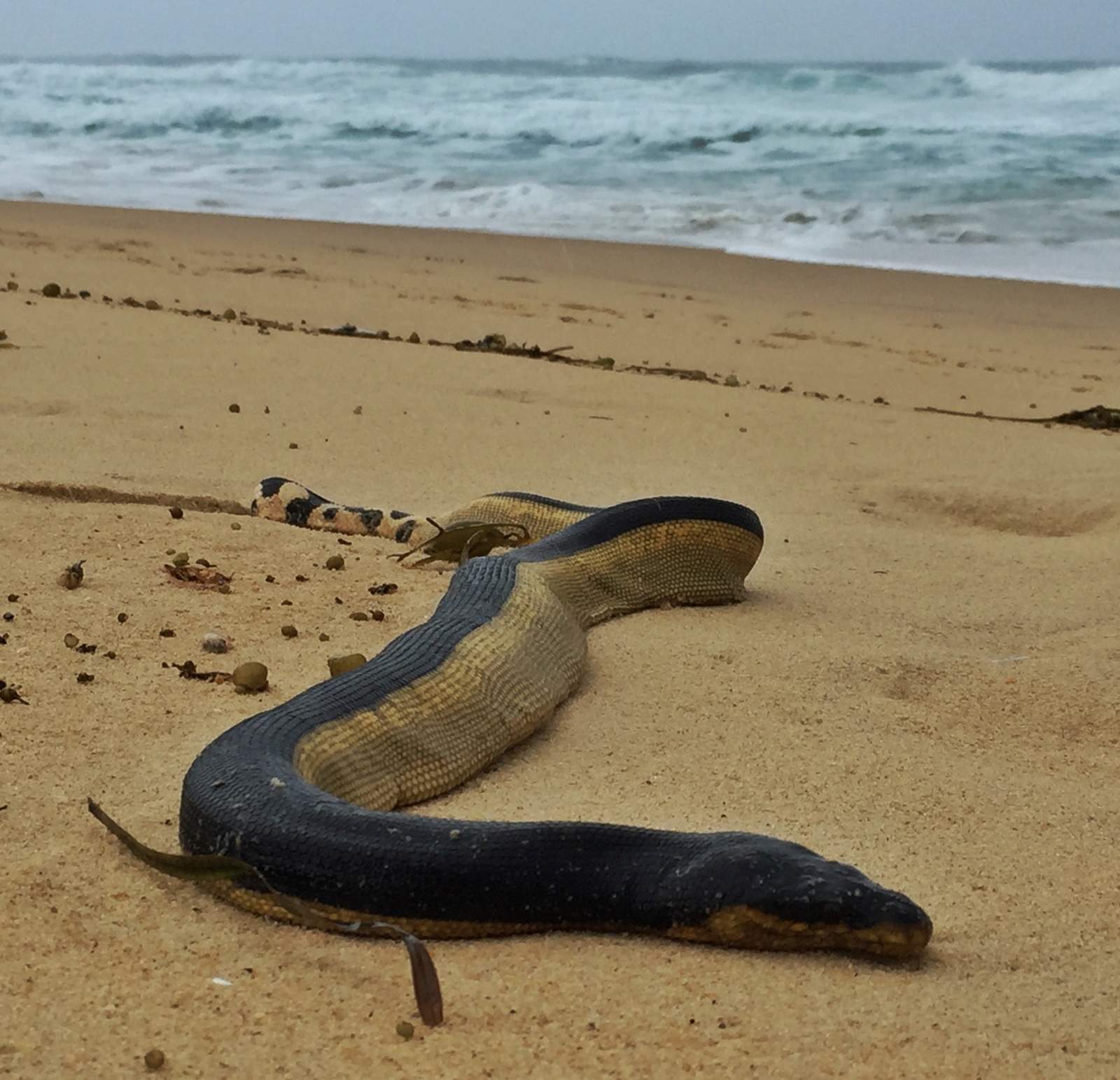 Scuba Diving in India: 15 Best Spots for Scuba Diving in (2024)