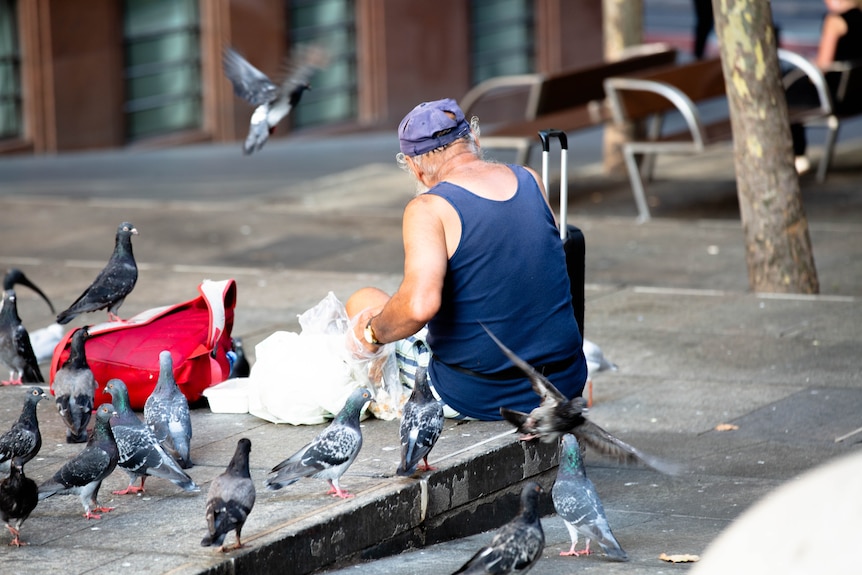 A man sat down in a blue vest and hat with his hand in a plastic bag surrounded by pigeons