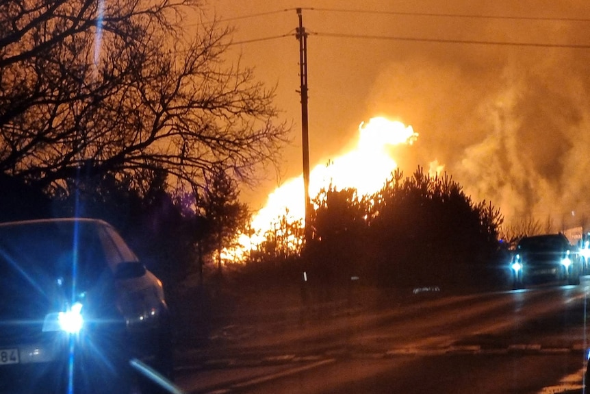 Flames above the silhouette of a bush. 