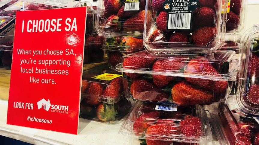 Red strawberries in clear plastic punnets with a Brand SA sign