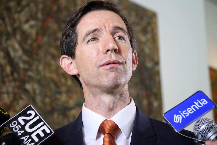 Head shot of Simon Birmingham speaking to reporters, microphones in shot but not reporters.