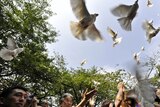 People release white doves in the air during a ceremony at the controversial Yasukuni war shrine.