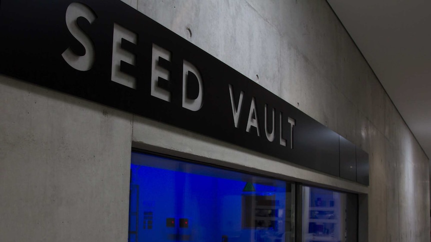 The seed vault room in the Australian Plantbank