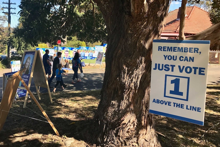 NSW local election