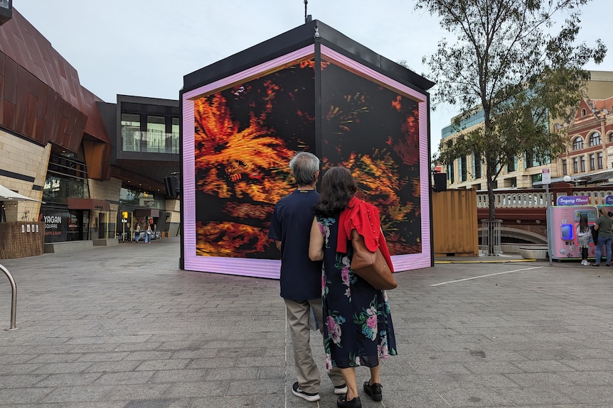 Two people pause in front of The Moodjar Tree animation in Yagan Square