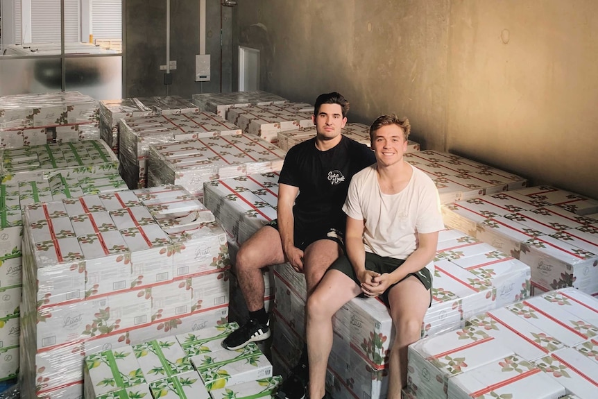 Sydney brewers Nick Rowell and Marc Lindberg sitting on boxes of hard seltzer