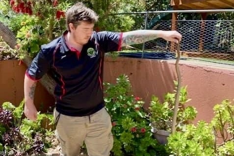 A man in a black shirt holding up a snake in a garden with red wall and wire fence and plants.